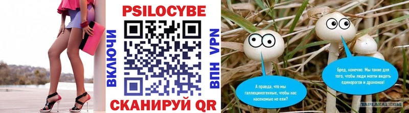 нарко площадка Telegram  Данков  Псилоцибиновые грибы Cubensis  цена наркотик 